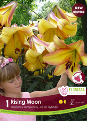 Lily 0/T Rising Moon