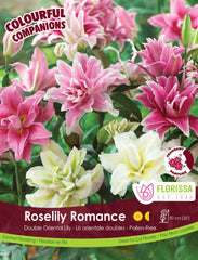 Lilies Roselily Romance 2pk