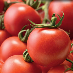 Tomato Patio Choice