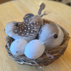 Bird Nest & Eggs