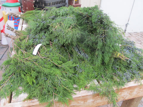 Blueberry Juniper Bough