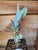 Kalanchoe fedtschenkoi