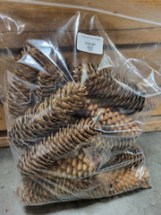 Assorted Pinecone Bag