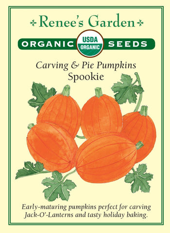 Pumpkin Spookie Org.