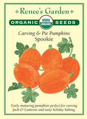 Pumpkin Spookie Org.