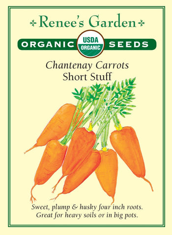 Carrot Short Stuff Organic