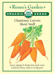 Carrot Short Stuff Organic