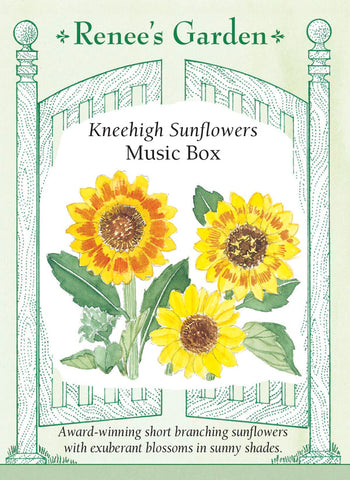 Sunflower Music Box