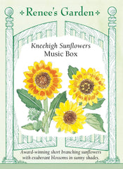 Sunflower Music Box
