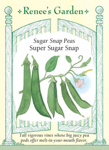 Pea Sugar Snap Edible Pod