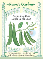 Pea Sugar Snap Edible Pod