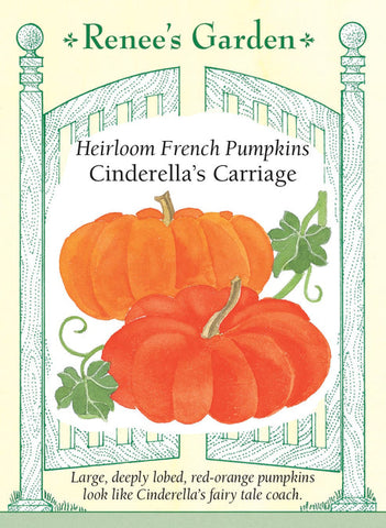 Pumpkin Cinderella's Carriage