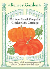 Pumpkin Cinderella's Carriage