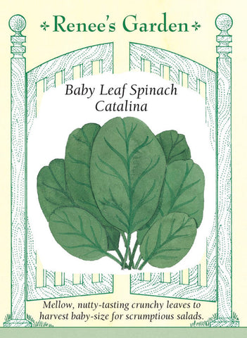Spinach Catalina Baby Leaf
