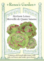 Lettuce Merveille
