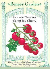 Tomato Cherry Camp Joy