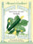 Zucchini Twilight Dark Green
