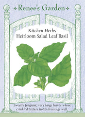 Basil Salad Leaf