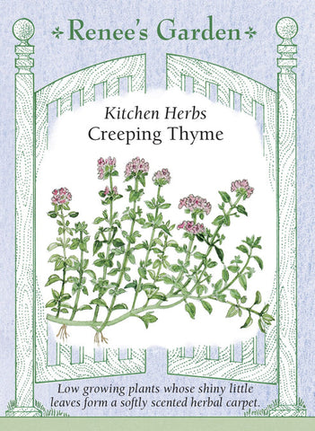 Thyme Creeping