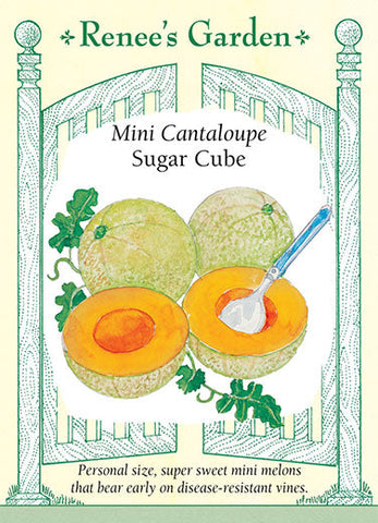Mini Cantelope Mini Sugar
