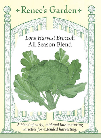 Broccoli All Season Blend