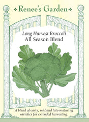 Broccoli All Season Blend