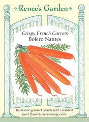 Carrot Nantes Bolero French