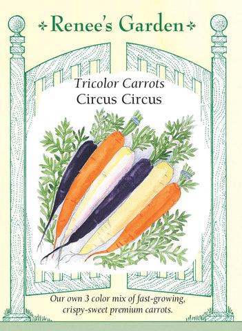 Carrot Circus Circus Tri-color