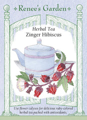 Hibiscus Zinger Tea