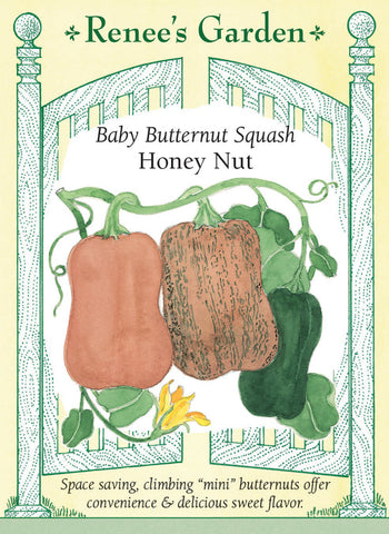 Squash Winter Baby Honey Nut