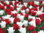Tulip Canadian Eh Collection