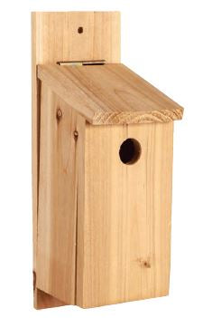 DIY Bird house