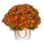 Ditto Bronze Fall Mum - 11"