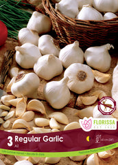 Garlic Regular - 3 Pack
