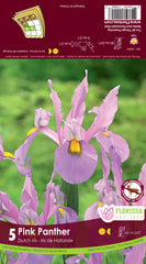 Iris Pink Panther