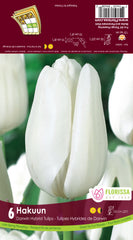 Tulip Hakuun