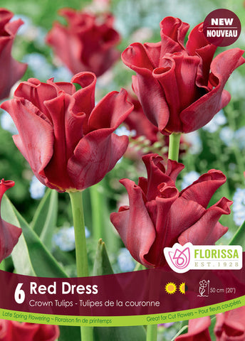 Tulip Red Dress