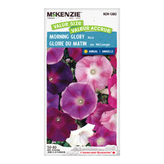 Morning Glory Mix VS
