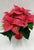 Poinsettia 6" - $16.99 PINK