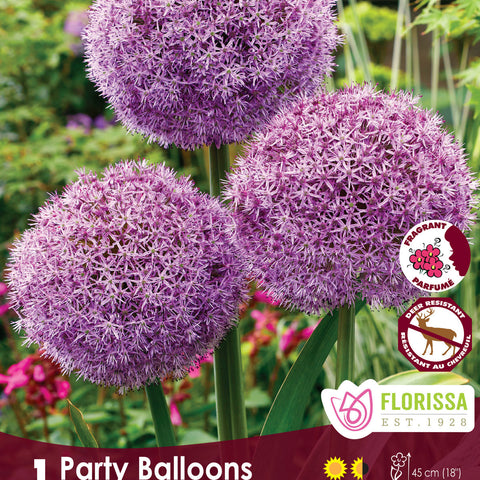Allium Party Balloons