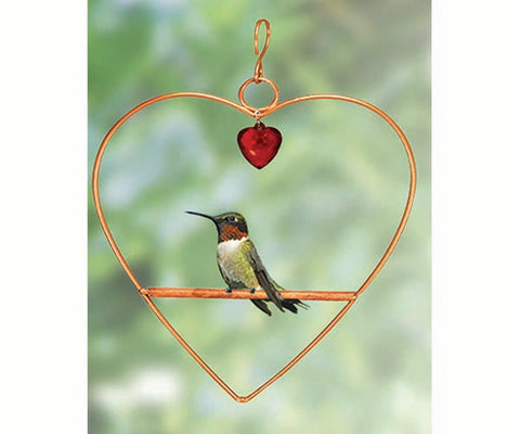 Heart Hummingbird Swing