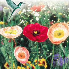 Wildflowers Hummingbird Value Size