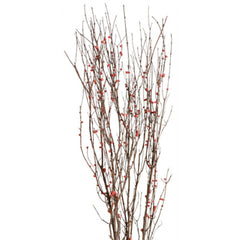 Berried Branches