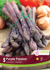 Asparagus Bulb Purple Passion