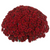 Red Fall Mum - 11"