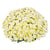 White Fall Mum - 15"