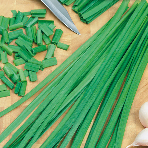 Herb Chives Garlic