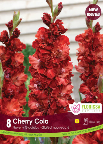 Glads Dutch Cherry Cola