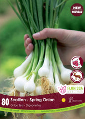 Green Onion Scallion