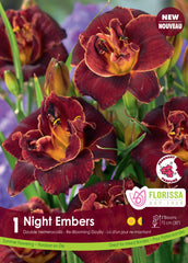 Daylily Night Embers